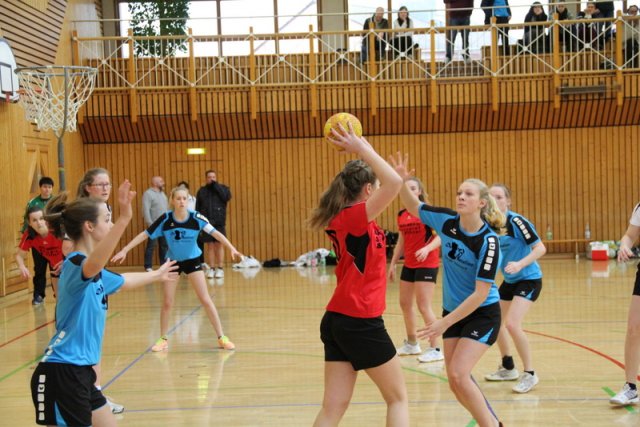 2016_02_14 Landesliga Jugend 19